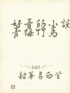 好看的小说言情青梅竹马封面