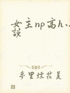 女主np高h小说