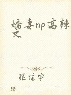 娇妻np高辣h文