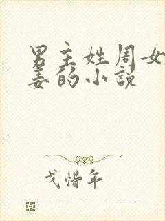 男主姓周女主姓姜的小说