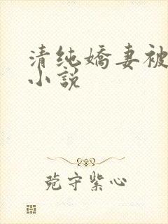 清纯娇妻被调教小说