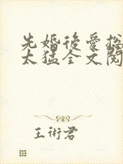 先婚后爱总裁别太猛全文阅读