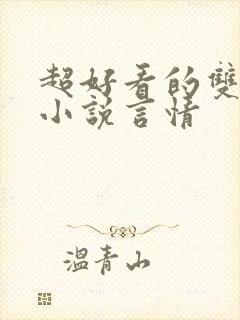 超好看的双男主小说言情