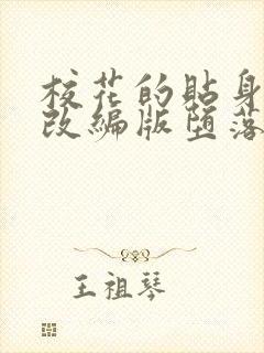 校花的贴身高手改编版堕落封面