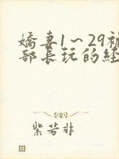 娇妻1～29被部长玩的经过小说
