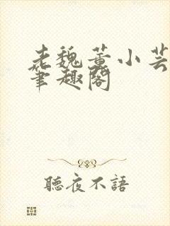 老魏董小芸全文笔趣阁