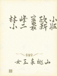 林峰宁欣小说赵小二最新版