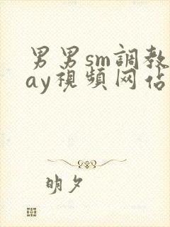 男男sm调教gay视频网站