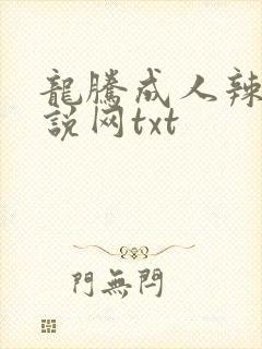 龙腾成人辣文小说网txt