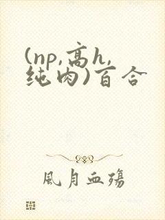 (np,高h,纯肉)百合