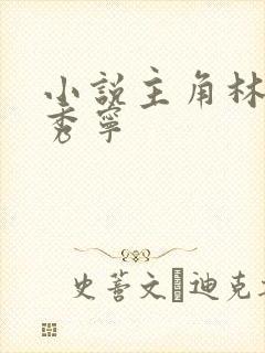 小说主角林凡李秀宁封面