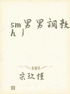 sm男男调教〈h丿