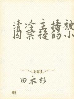 清冷主播被疯批囚禁后的小说结局封面