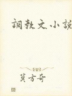 调教文小说h封面