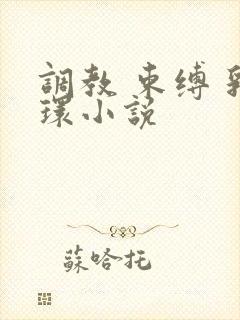 调教 束缚 乳环小说