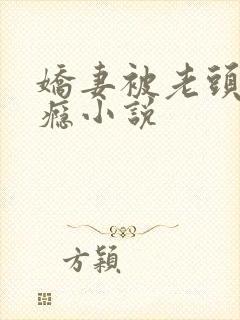 娇妻被老头玩上瘾小说封面