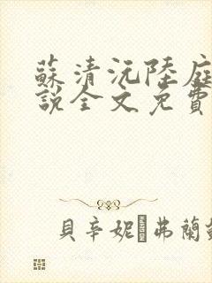 苏清沅陆庭渊小说全文免费阅读封面