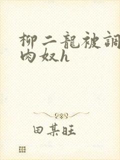 柳二龙被调教成肉奴h