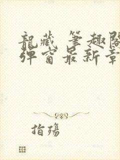 龙藏 笔趣阁无弹窗最新章节