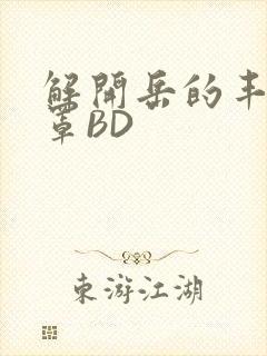 解开岳的丰满奶罩BD