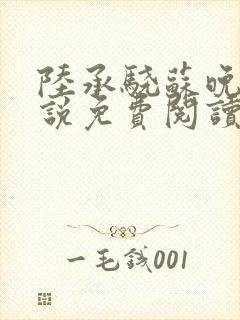 陆承骁苏晚晴小说免费阅读最新章节