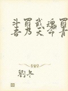 斗罗武魂罗三炮吾乃天命青龙笔趣阁