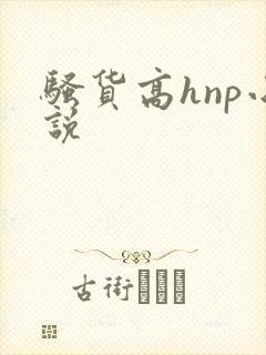 骚货高hnp小说封面