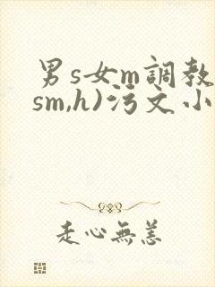 男s女m调教(sm,h)污文小说