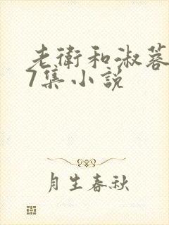 老卫和淑蓉1一7集小说