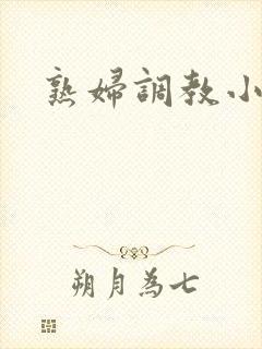 熟妇调教小说封面