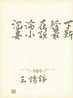 沉沦在胯下的娇妻小说最新章节