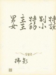 男主特别特别爱女主的小说