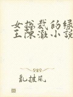 女总裁的绿帽兵王陈澈小说