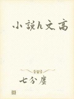小说h文高
