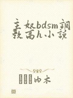 主奴bdsm调教高h小说