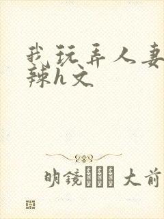 我玩弄人妻系列辣h文