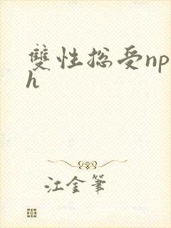 双性总受np高h封面