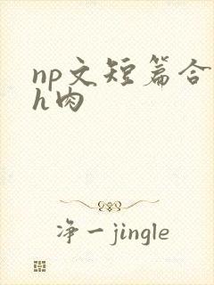 np文短篇合集h肉