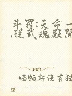 斗罗:天命一族,从武魂殿开始