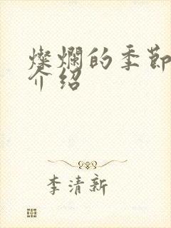 灿烂的季节剧情介绍