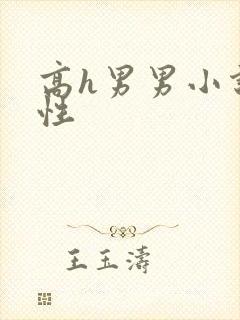 高h男男小说双性封面