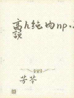 高h纯肉np小说