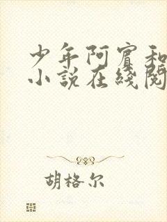 少年阿宾和慧珏小说在线阅读