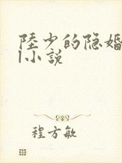 陆少的隐婚罪妻l小说