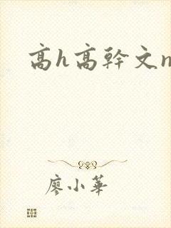 高h高干文np