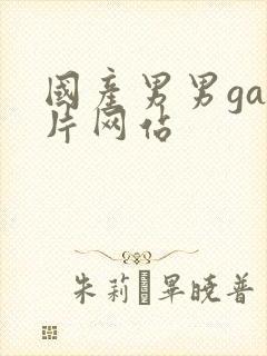 国产男男gay片网站