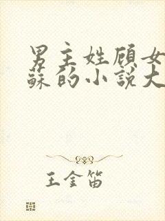 男主姓顾女主姓苏的小说大全