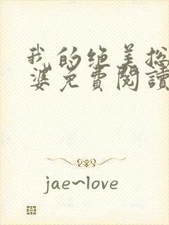 我的绝美总裁老婆免费阅读全