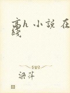 高h 小说 在线