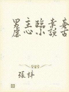 男主临幸妾室的虐心小说古言